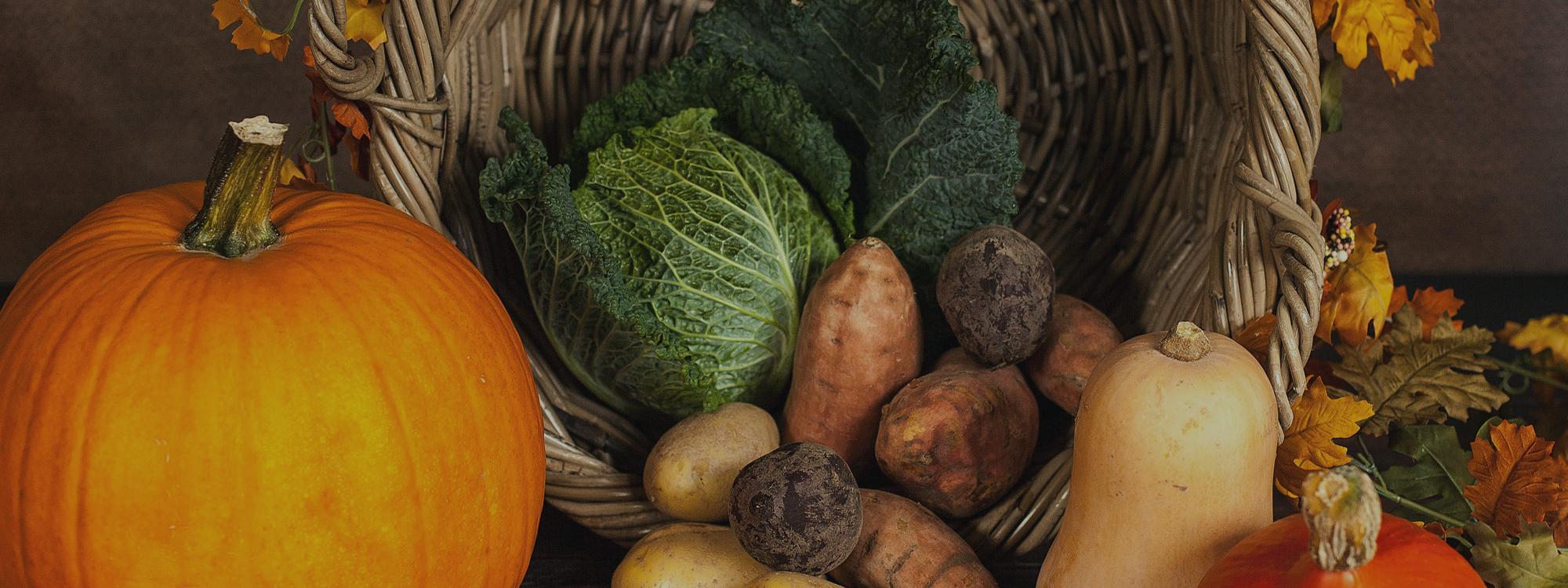 Harvest Festival*Sunday 4th October at 10am*A harvest of people is ready!*