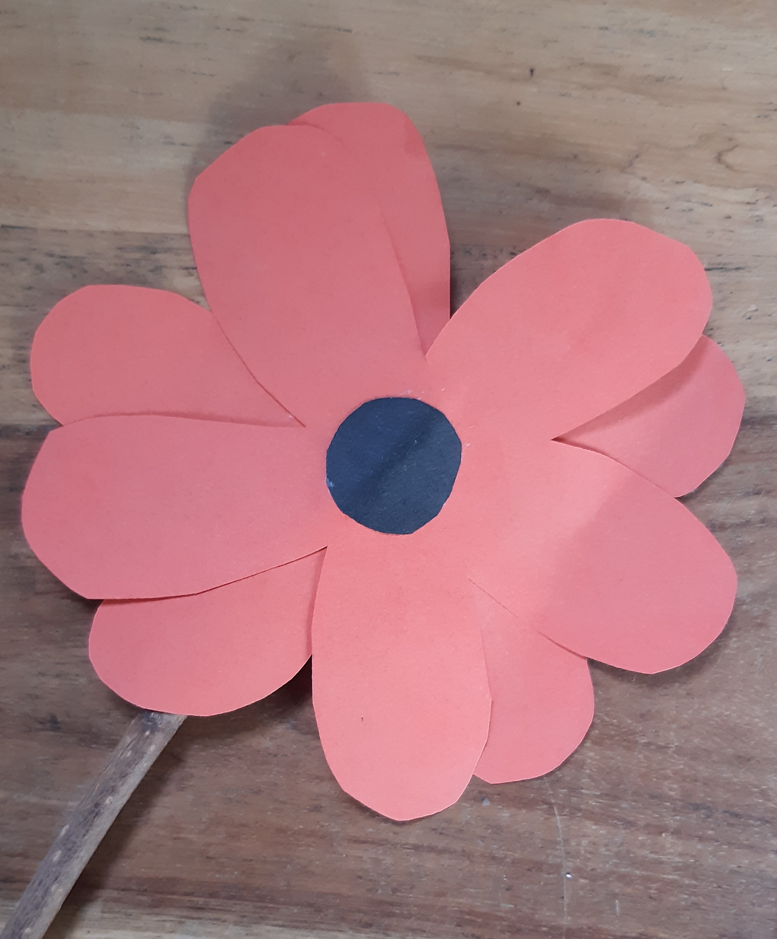 Poppy