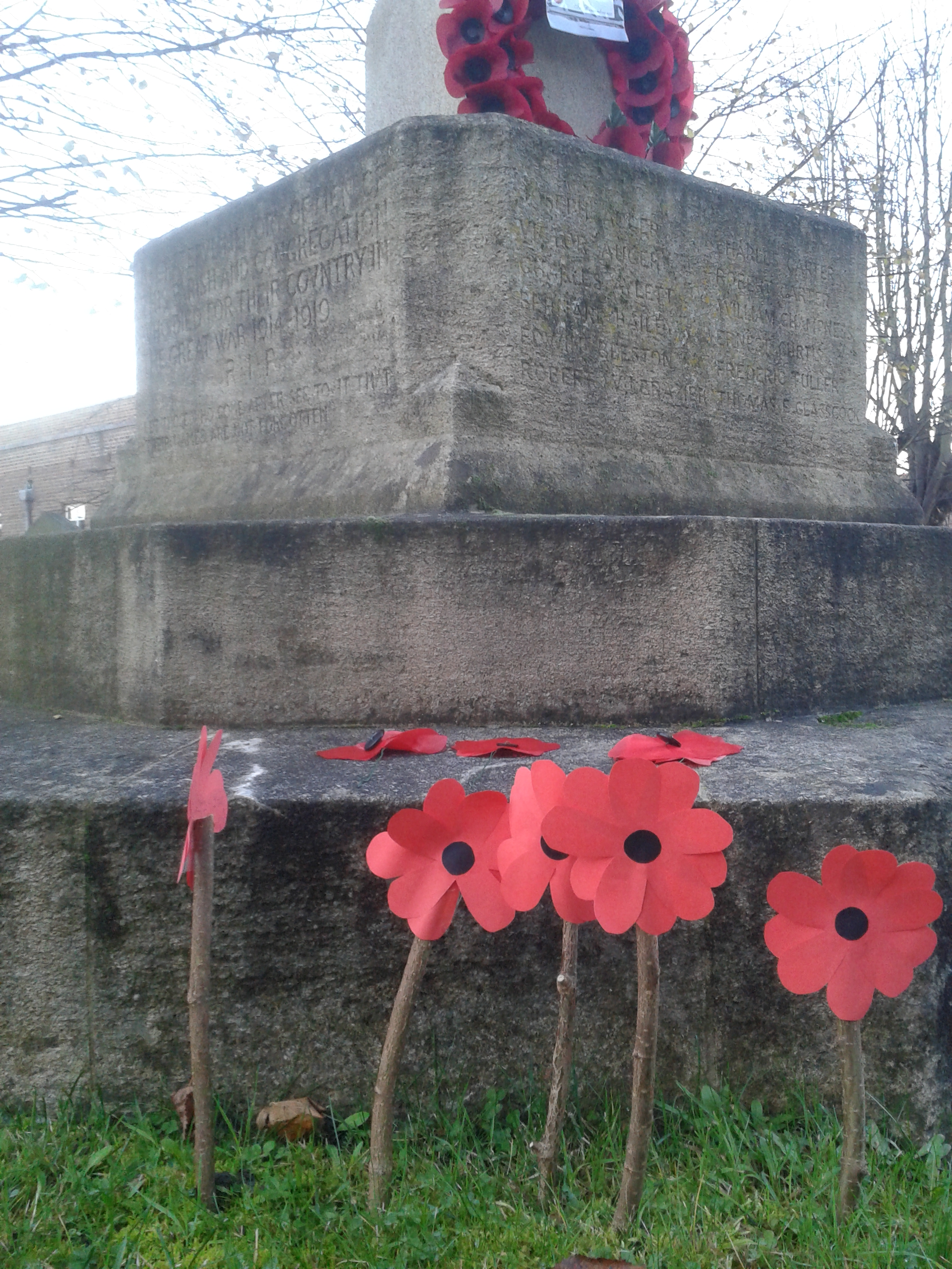 Remembrance Poppies