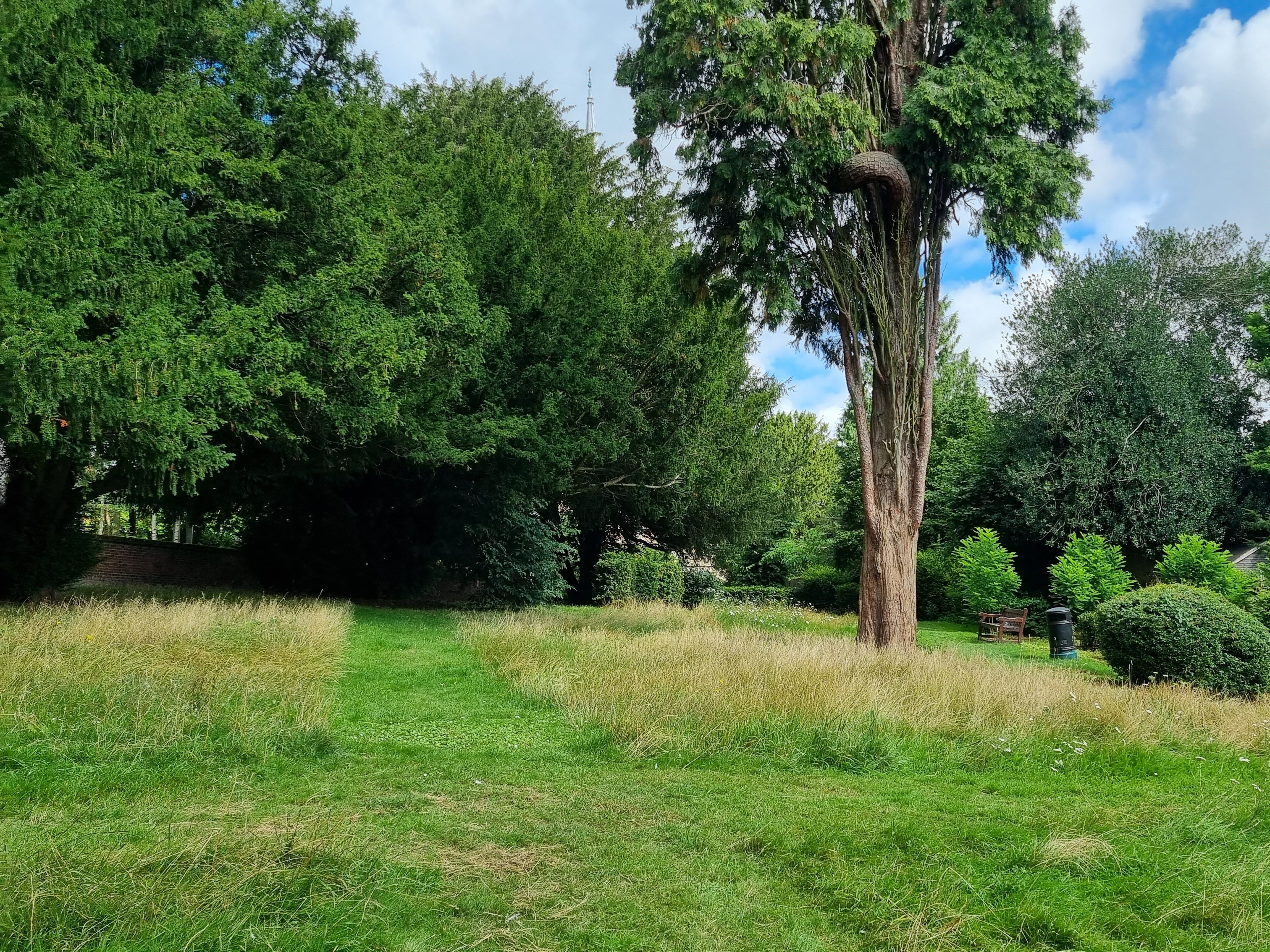 Prayer Meadow in South Churchyard