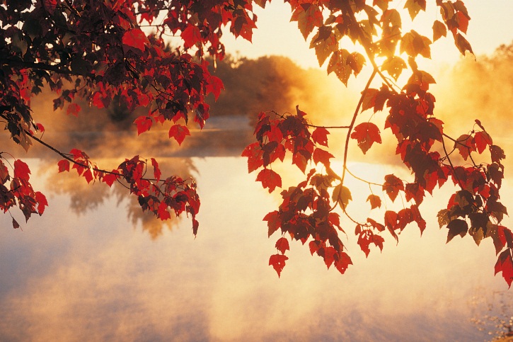September - 2